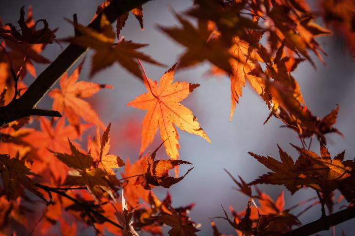 Fall is just around the corner